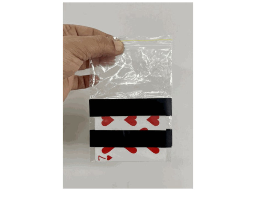 Flash Bag (FT)