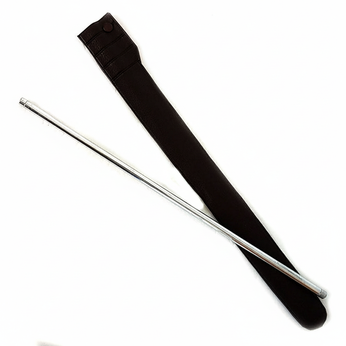 Silver Scepter a Rising Wand Effect (FT)