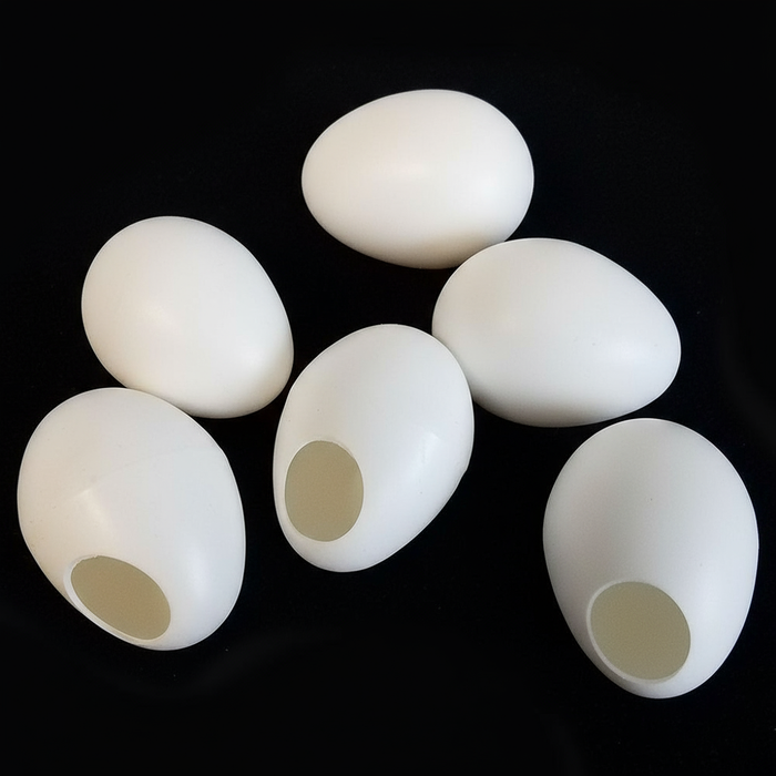 Egg with Hole (FT)