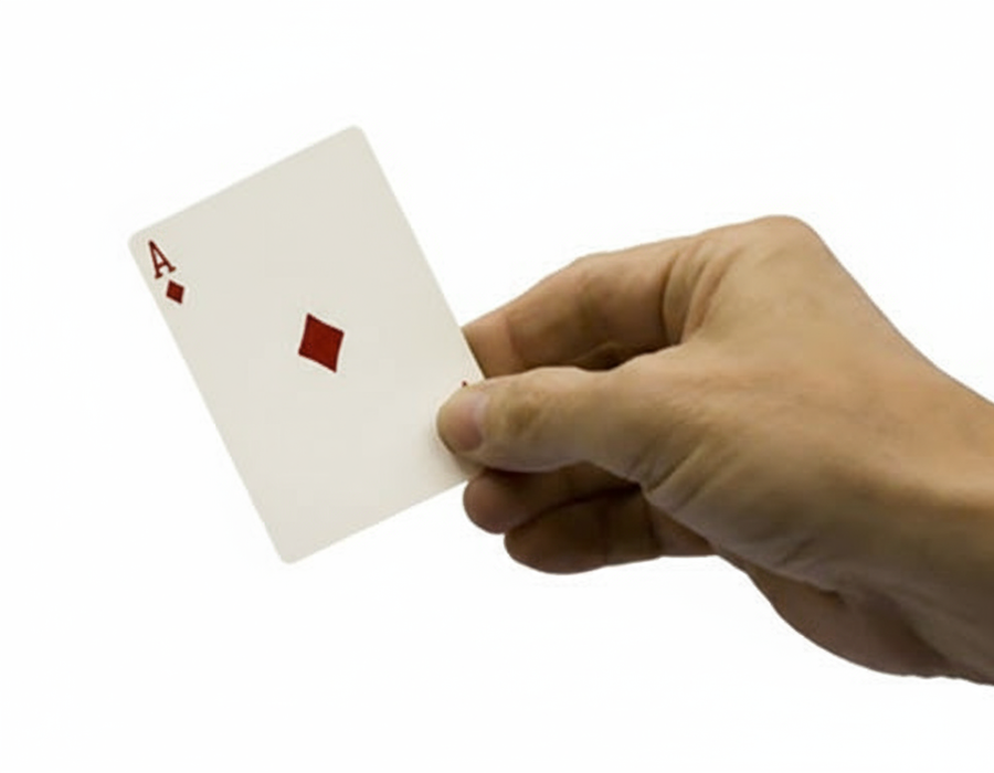 Deluxe Card Catcher (FT)