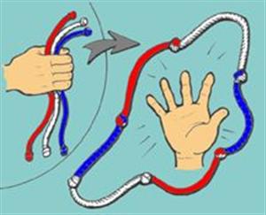 Multicolor Rope Fusion (FT)