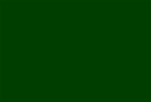 Close up Mat Pad (US) - Large Green (Goshman)
