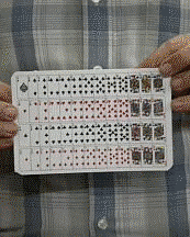 Flash Gag Card Prediction (FT)