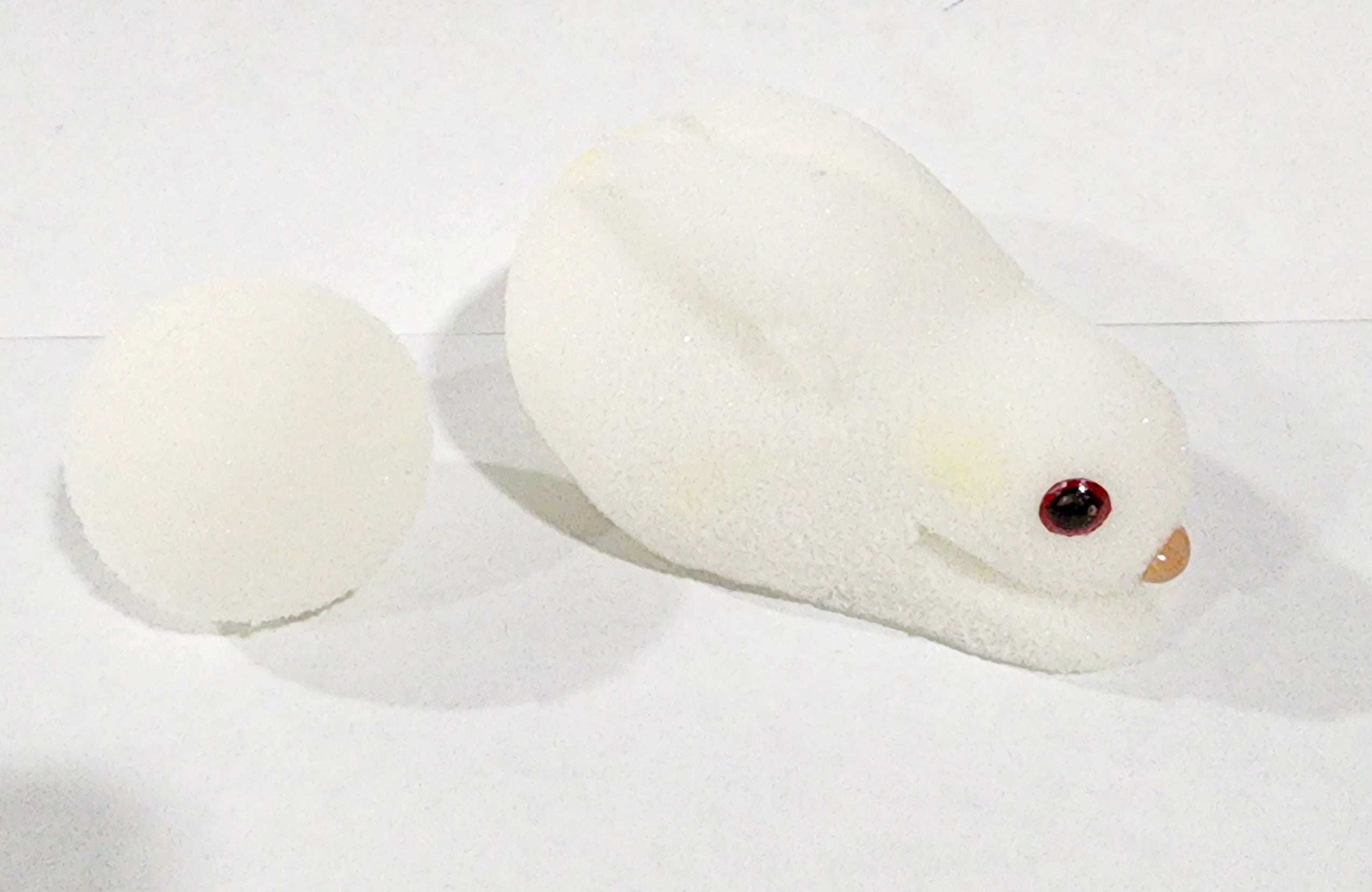 Sponge Balls to Bunny - Small (FT) — D. Robbins, House of E-Z Magic