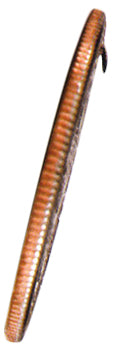 Hooked Coin - US $1 Gold