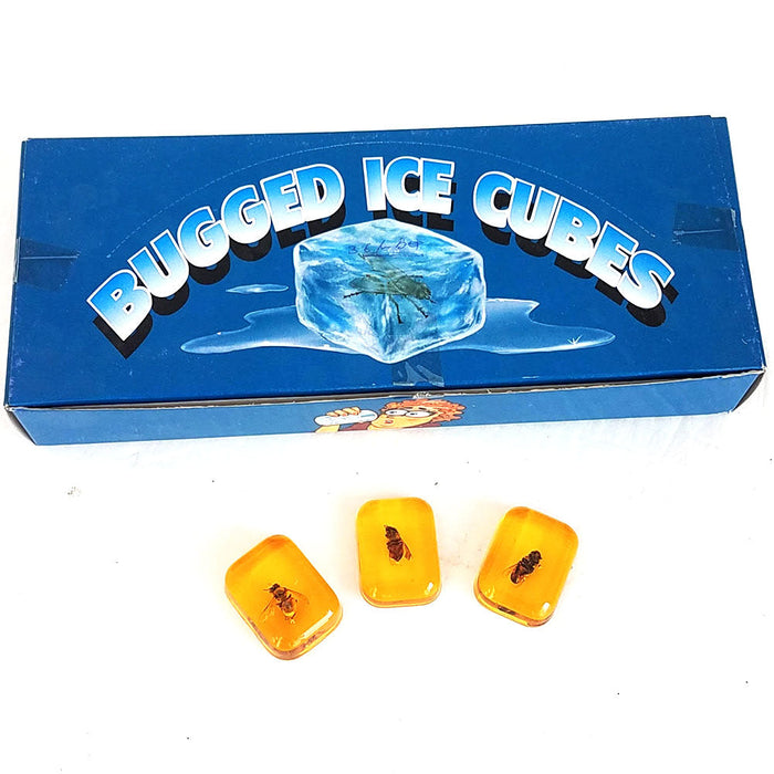 Bug in Ice Cube - Display of 36