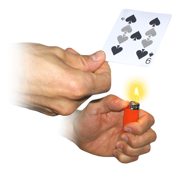 Cardicians Dream