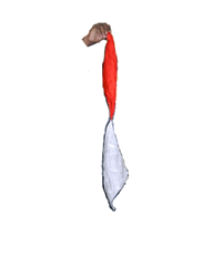 Color Changing Silk to String of Silks (FT)