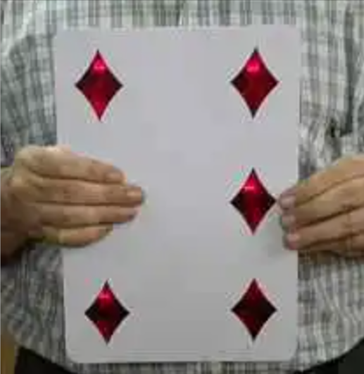 Magnetic Pip Card Giant Size (FT)