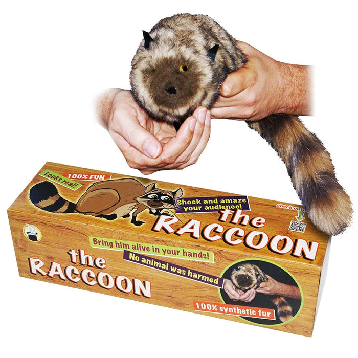 Raccoon Spring Animal with Realistic Fur (VDF)