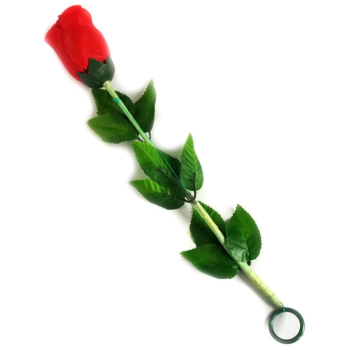 Silk to Rose Plus (FT)