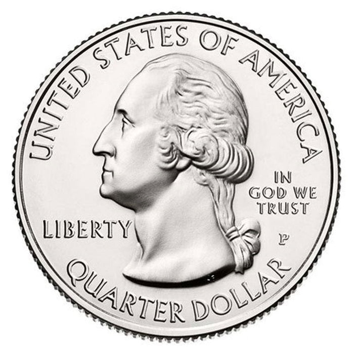 Shell Coin with Magnet - Quarter
