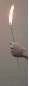 Torch to Rose (FT)