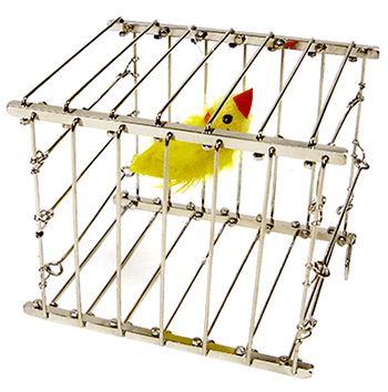 Vanishing Bird Cage (FT)