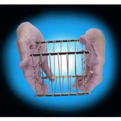 Vanishing Bird Cage (FT)